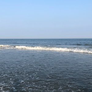 Meet your Posher, Jaye